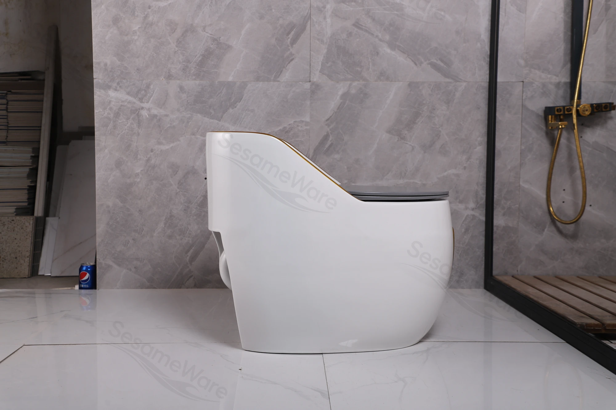 Siphonic One-Piece Toilet T1045-S